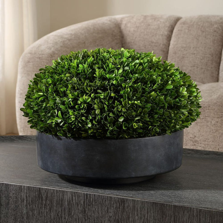 Uttermost Verdana Boxwood Sphere Centerpiece