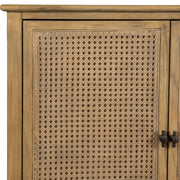 Uttermost Mid Century Coast 2 Door Cabinet