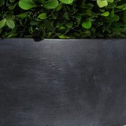 Uttermost Verdana Boxwood Sphere Centerpiece