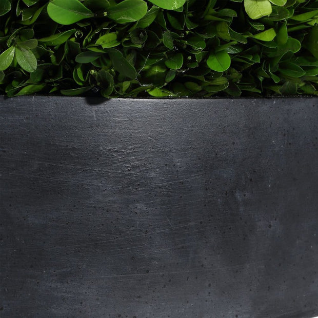 Uttermost Verdana Boxwood Sphere Centerpiece