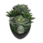 Uttermost Verde Succulent Centerpiece