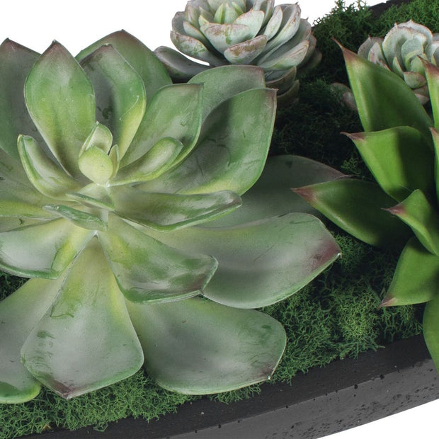 Uttermost Verde Succulent Centerpiece