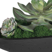 Uttermost Verde Succulent Centerpiece