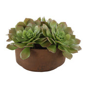 Uttermost Sable Succulent Accent In A Natural Terracotta Finish