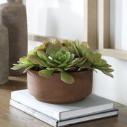 Uttermost Sable Succulent Accent In A Natural Terracotta Finish