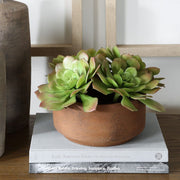 Uttermost Sable Succulent Accent In A Natural Terracotta Finish