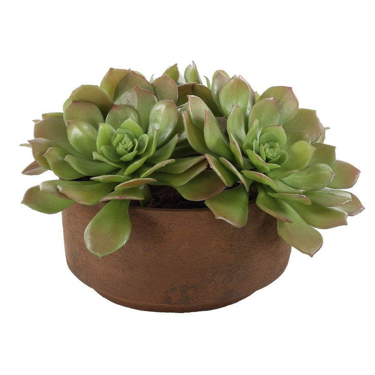 Uttermost Sable Succulent Accent In A Natural Terracotta Finish