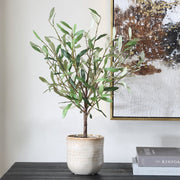 Uttermost Solea Olive Accent In Neutral Tan Tones