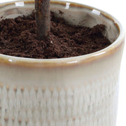 Uttermost Solea Olive Accent In Neutral Tan Tones