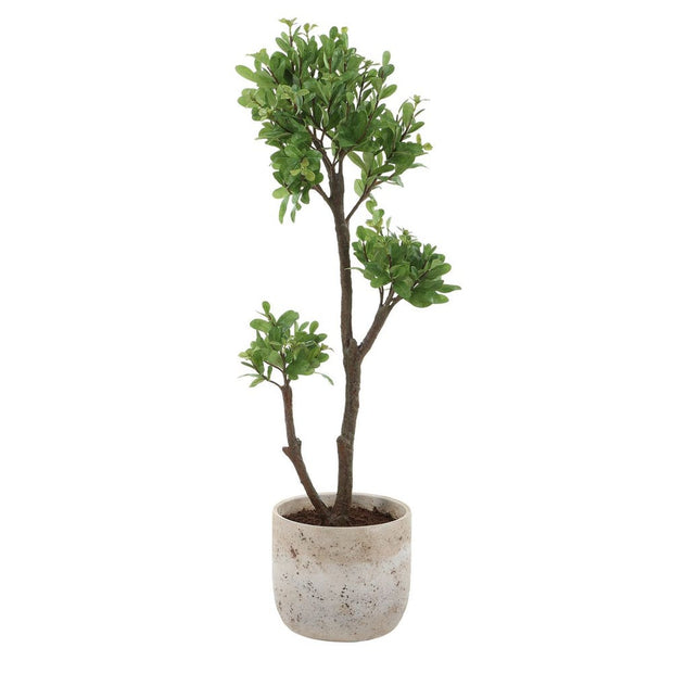 Uttermost Arbor Strawberry Tree In An Aged Ivory And Natural Texture Pot