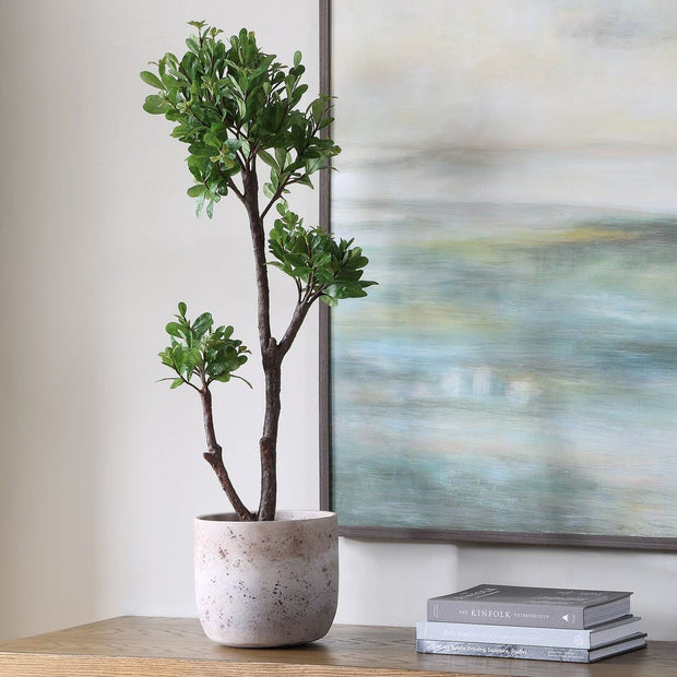 Uttermost Arbor Strawberry Tree In An Aged Ivory And Natural Texture Pot