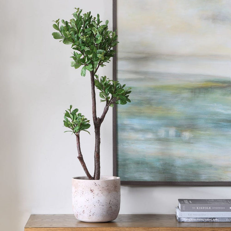 Uttermost Arbor Strawberry Tree In An Aged Ivory And Natural Texture Pot
