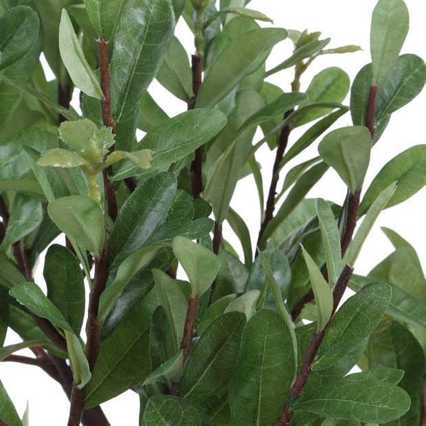 Uttermost Arbor Strawberry Tree In An Aged Ivory And Natural Texture Pot