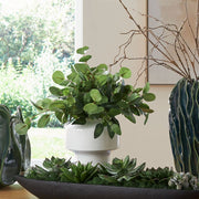 Uttermost Essence Eucalyptus Accent Potted In a Sculpted Gloss White Vase