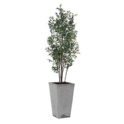 Uttermost Sonora Olive Tree In A Textured Gray Concrete Planter