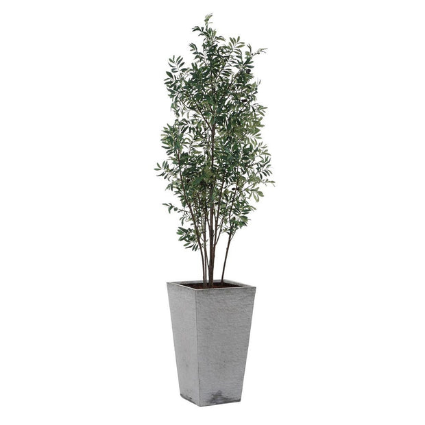 Uttermost Sonora Olive Tree In A Textured Gray Concrete Planter