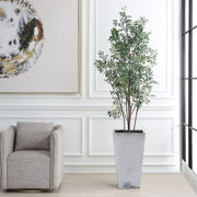 Uttermost Sonora Olive Tree In A Textured Gray Concrete Planter