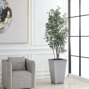 Uttermost Sonora Olive Tree In A Textured Gray Concrete Planter