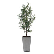 Uttermost Sonora Olive Tree In A Textured Gray Concrete Planter