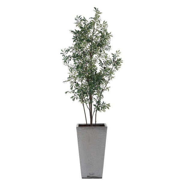 Uttermost Sonora Olive Tree In A Textured Gray Concrete Planter