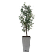 Uttermost Sonora Olive Tree In A Textured Gray Concrete Planter