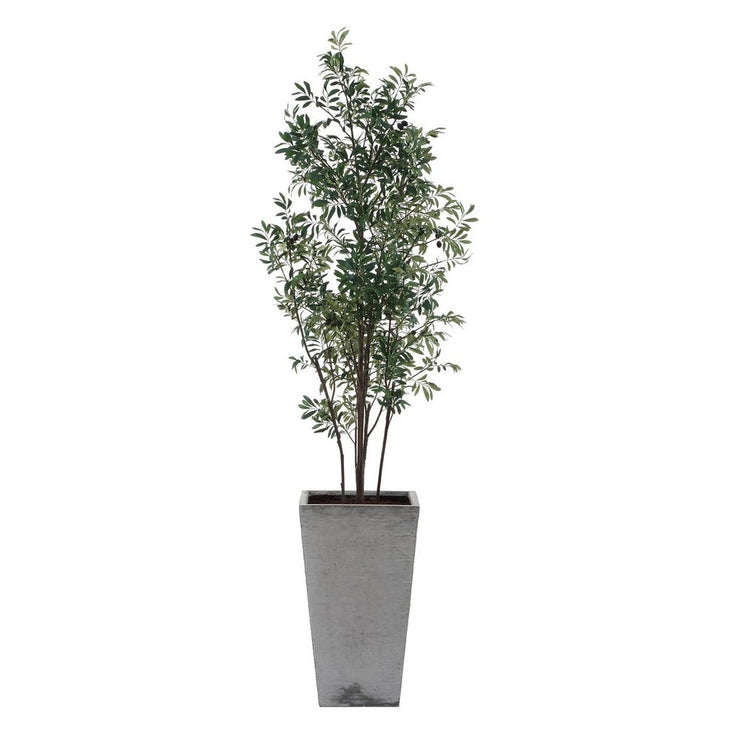 Uttermost Sonora Olive Tree In A Textured Gray Concrete Planter