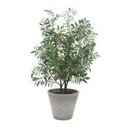 Uttermost Marisol Potted Olive In A Stone Gray Pot