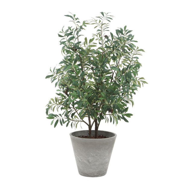 Uttermost Marisol Potted Olive In A Stone Gray Pot