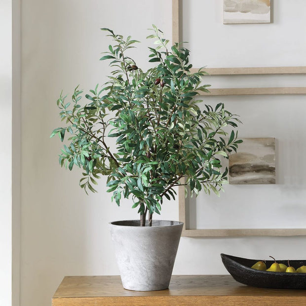 Uttermost Marisol Potted Olive In A Stone Gray Pot