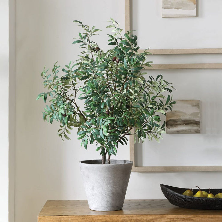 Uttermost Marisol Potted Olive In A Stone Gray Pot