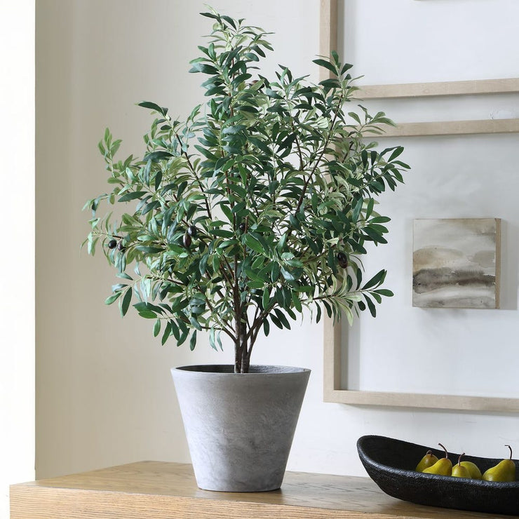 Uttermost Marisol Potted Olive In A Stone Gray Pot