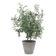 Uttermost Marisol Potted Olive In A Stone Gray Pot