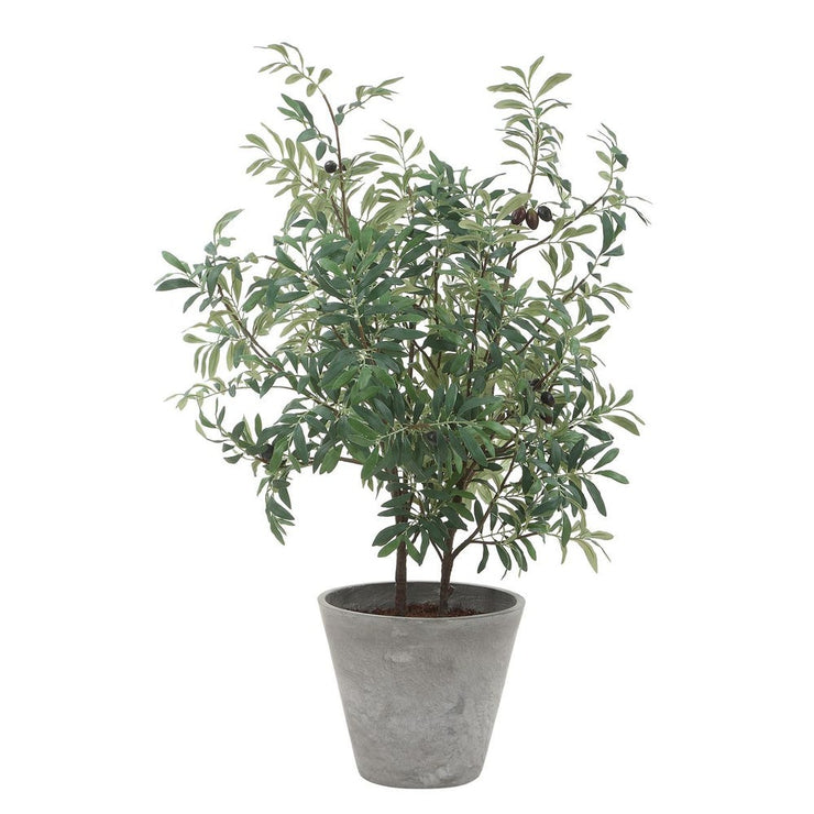 Uttermost Marisol Potted Olive In A Stone Gray Pot
