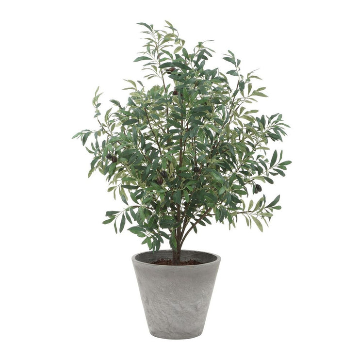 Uttermost Marisol Potted Olive In A Stone Gray Pot