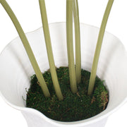 Uttermost Marisol Potted Olive In A Stone Gray Pot