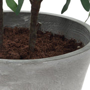 Uttermost Marisol Potted Olive In A Stone Gray Pot