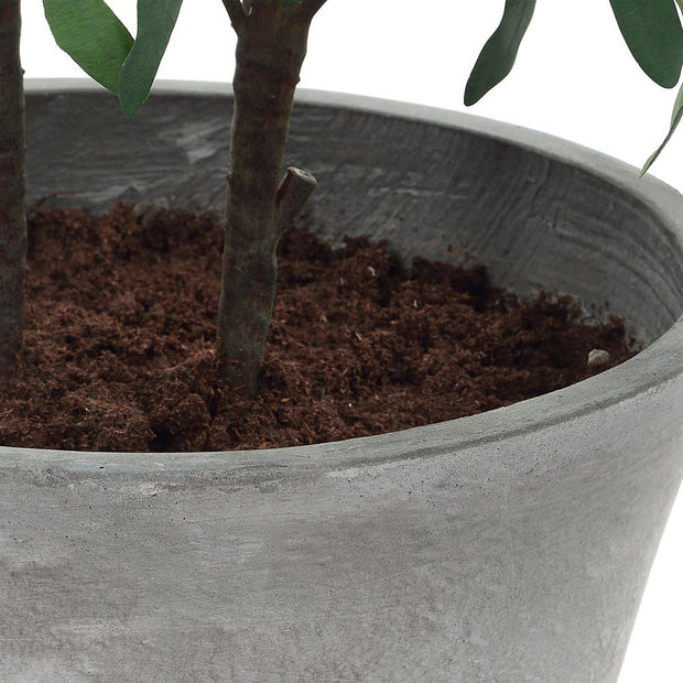 Uttermost Marisol Potted Olive In A Stone Gray Pot