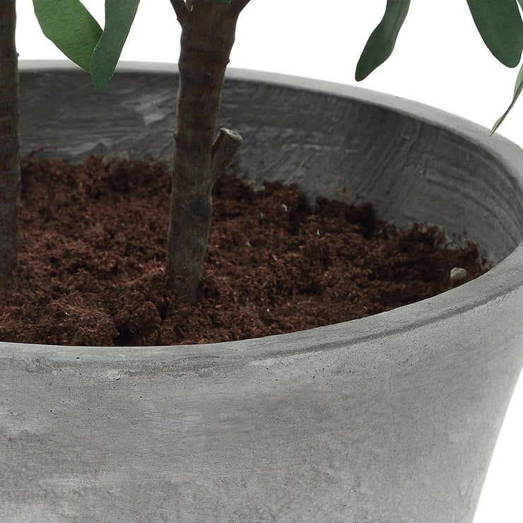 Uttermost Marisol Potted Olive In A Stone Gray Pot