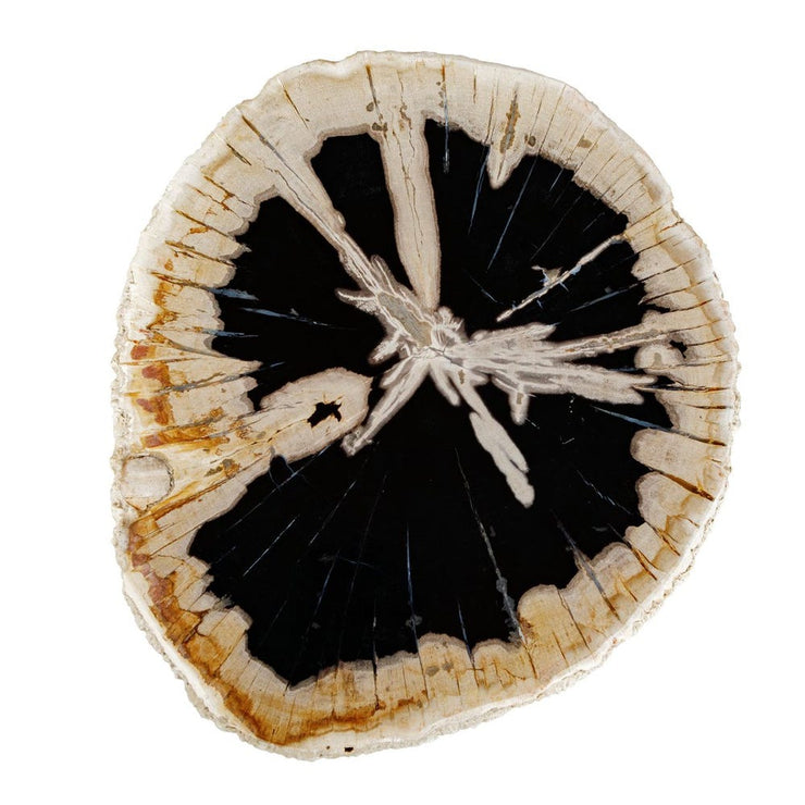 Uttermost Arco Natural Wood Top Accent Table