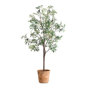 Uttermost Olea Life-Like Potted Olive Tree in Terracotta Finished Concrete Planter