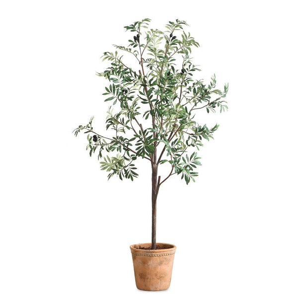 Uttermost Olea Life-Like Potted Olive Tree in Terracotta Finished Concrete Planter