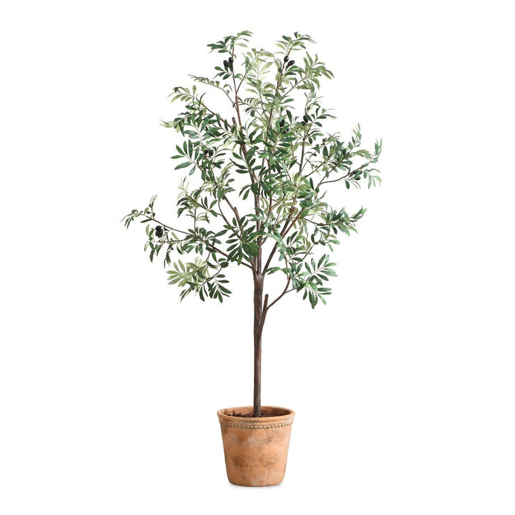 Uttermost Olea Life-Like Potted Olive Tree in Terracotta Finished Concrete Planter