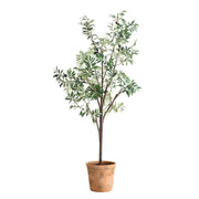 Uttermost Olea Life-Like Potted Olive Tree in Terracotta Finished Concrete Planter