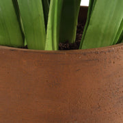 Uttermost Sincerity Potted Hyacinth in Terracotta Planter