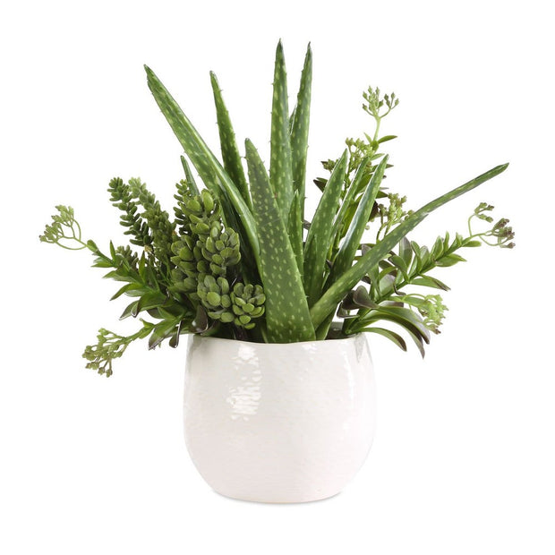 Uttermost Sundown Textural Mix Of Succulents In White Ceramic Planter
