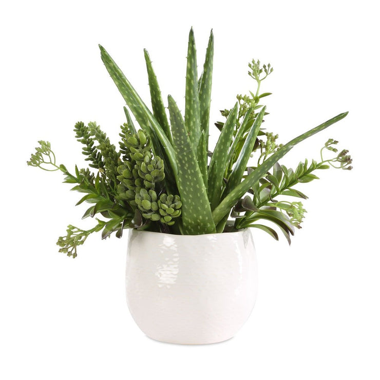 Uttermost Sundown Textural Mix Of Succulents In White Ceramic Planter