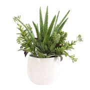 Uttermost Sundown Textural Mix Of Succulents In White Ceramic Planter
