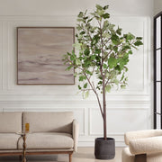 Uttermost Eden Fig Tree In Charcoal Black Concrete Pot