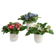 Uttermost Trilogy Set Of 3 Primrose Accents in Glazed Ceramic Containers