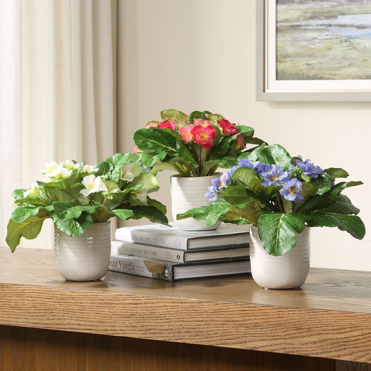 Uttermost Trilogy Set Of 3 Primrose Accents in Glazed Ceramic Containers